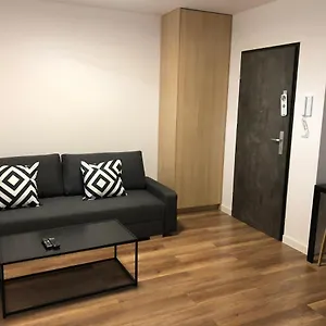 Platinex 6 , Краков Польша